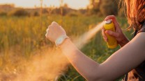 Zanzare, contrordine: il repellente potrebbe attirarle. Ma per gli esperti può essere ancora consigliato
