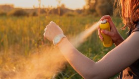 Zanzare, contrordine: il repellente potrebbe attirarle. Ma per gli esperti può essere ancora consigliato