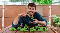 Come coltivare le aromatiche annuali tra orto e balcone dalla semina alla raccolta
