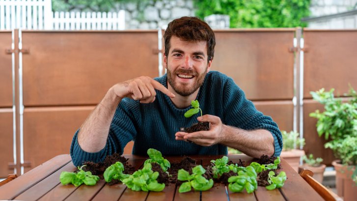 Come coltivare le aromatiche annuali tra orto e balcone dalla semina alla raccolta