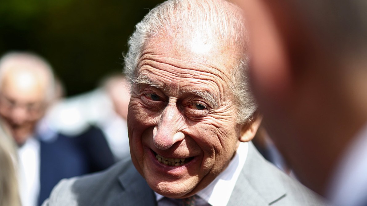 Re Carlo in Irlanda del Nord, incidente imbarazzante col gabbiano. E Camilla brinda