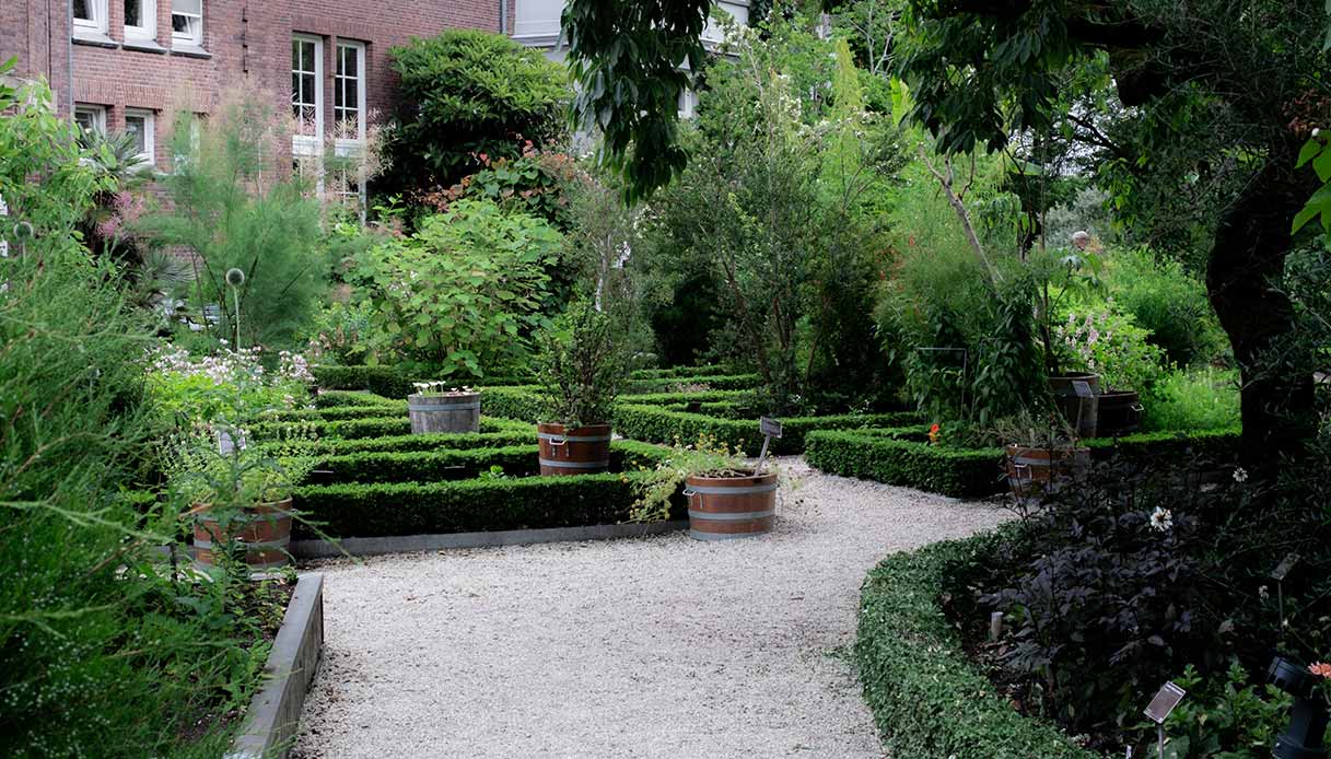 Giardino formale con aiuole di bosso potato basso disposte in schema geometrico, vialetto centrale in ghiaia bianca, botti in legno con alberi e arbusti come elementi verticali, edificio in mattoni rossi sullo sfondo