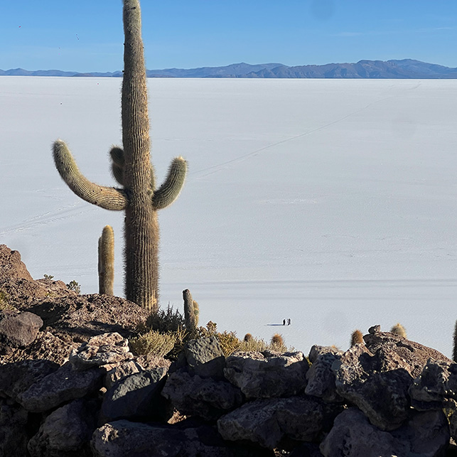 Cactus colonnare con due rami laterali su base di rocce scure vulcaniche, Salar de Uyuni bianco sullo sfondo con due figure umane minuscole in distanza e catena montuosa all'orizzonte