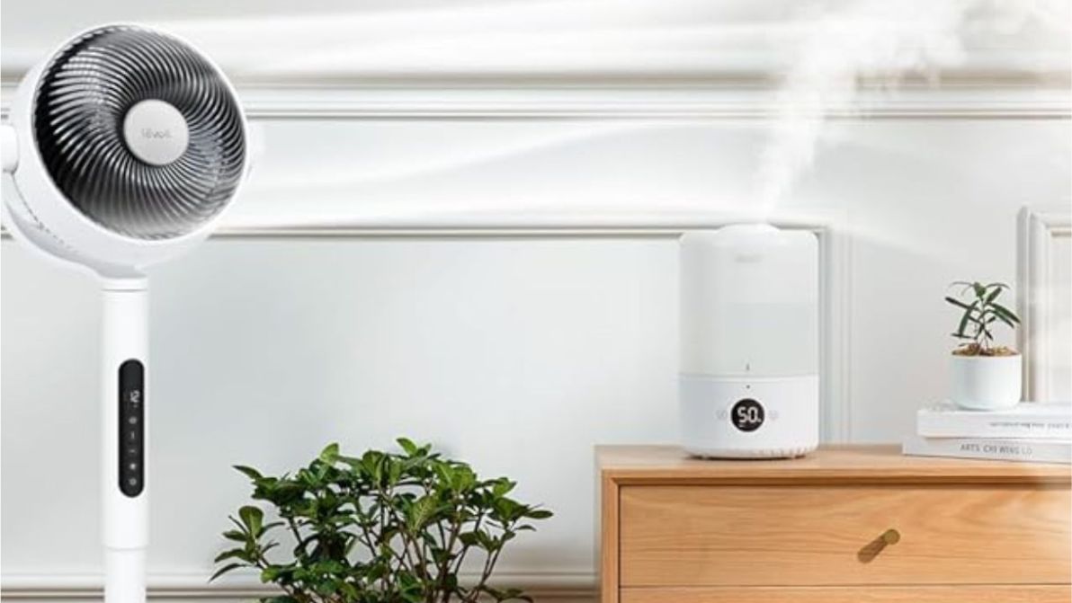 Il ventilatore silenzioso e potente diventa oggetto di design, e puoi metterlo sul tavolo o a terra