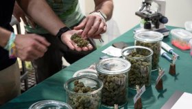 “Miele da sballo”, un 17enne in ospedale. Cos’è il nuovo derivato dalla cannabis