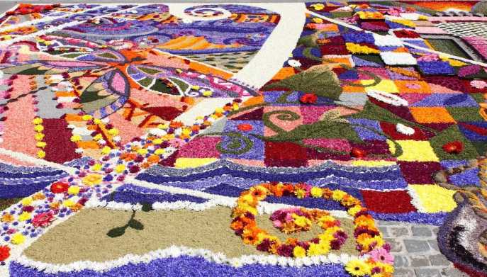 Mostre piante e fiori giugno