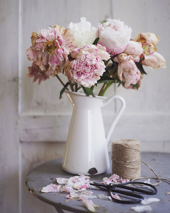 Peonie