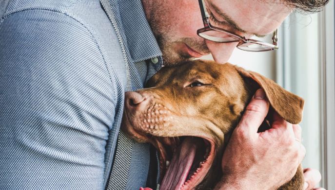 Abbracciare e coccolare un cane allunga la vita: le ragioni