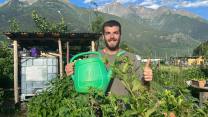 Risparmiare acqua in orto e giardino le strategie pratiche per coltivare senza sprechi