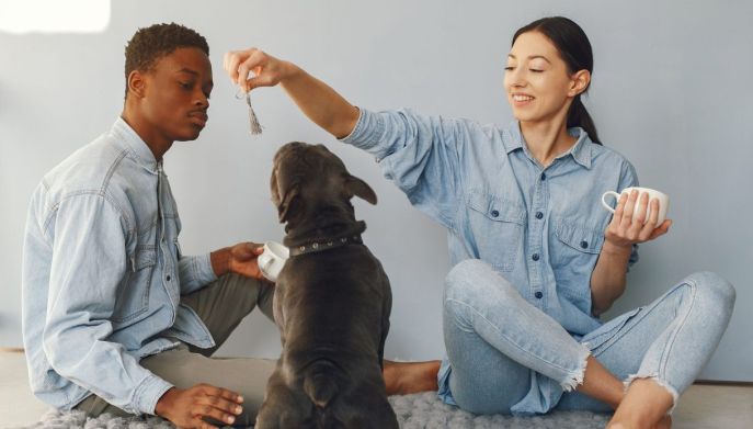 Proprietari fanno giocare il cane: la cura a tutto tondo