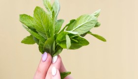 Mosche in casa, il trucco dei mazzetti di menta e basilico per allontanarle