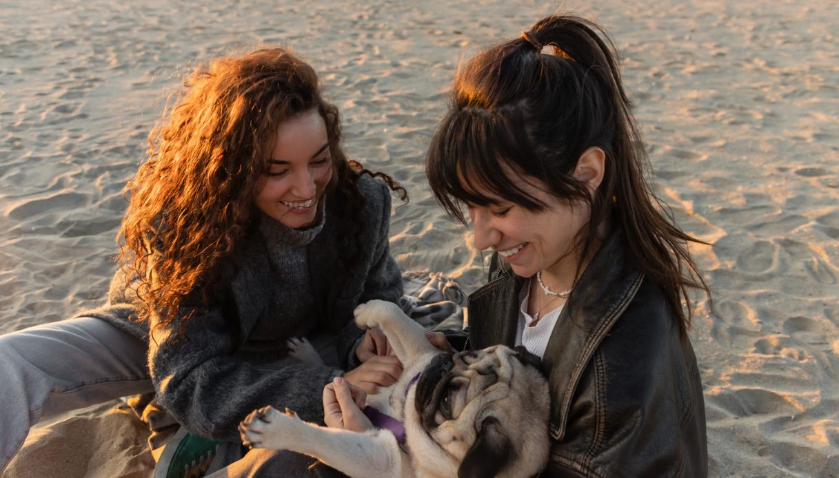 Avere un cane allunga la vita: perché fa così bene alla salute