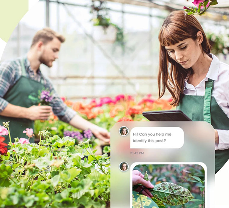 Schermata dell'app Smartplant sovrapposta a due giardinieri in una serra: chat con esperto per identificare un parassita su una foglia