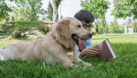 A 11 anni legge storie ad alta voce in canili e gattili: così ha salvato vite (anche umane)