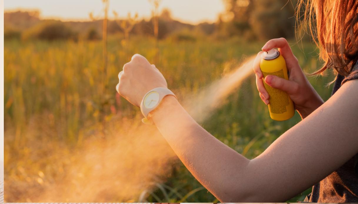 Repellenti e spray anti-zecche funzionano davvero? Risponde l’esperto