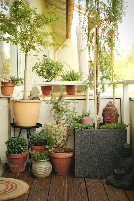 Balcone ricco di vasi in terracotta con piante di altezze diverse, scultura testa di Buddha e campanelle a vento