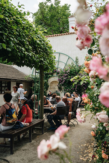 Persone sedute ai tavoli nel cortile di un caff&egrave; all'aperto, con rose rampicanti rosa in primo piano e vialetto in ghiaia