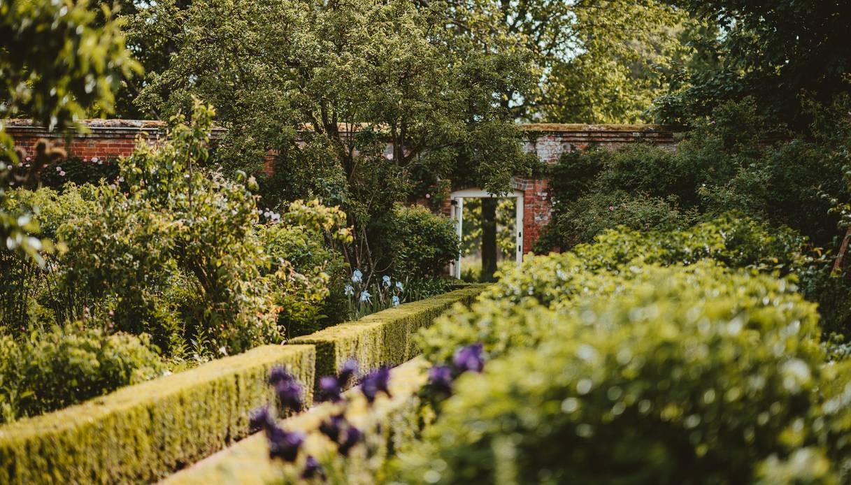 Giardino con siepi di bosso basse e squadrate, fiori viola e alberi da frutto, muro in mattoni con porta bianca sullo sfondo