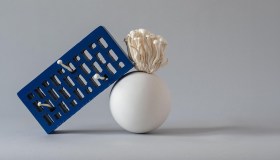 I designer hanno smesso di costruire mobili, ora li coltivano con funghi e alghe