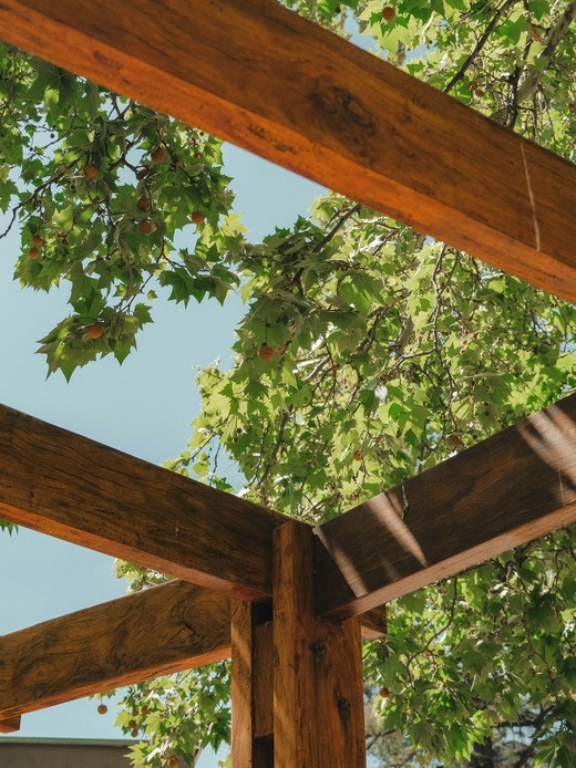 Travi di legno di una pergola riprese dal basso contro le fronde di un platano e il cielo azzurro