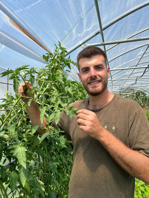 Gian Marco Mapelli accanto a una pianta di pomodoro in fiore legata a un tutore all'interno di una serra