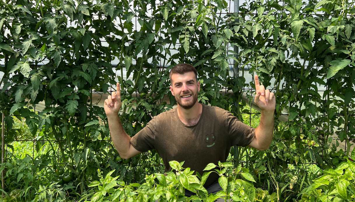 un pomodoro sano nasce prima di tutto nel terreno non nella scelta della variet224 in busta da Dilei.it un pomodoro sano nasce prima di tutto nel terreno non nella scelta della variet224 in busta