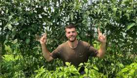 Un pomodoro sano nasce prima di tutto nel terreno, non nella scelta della varietà in busta