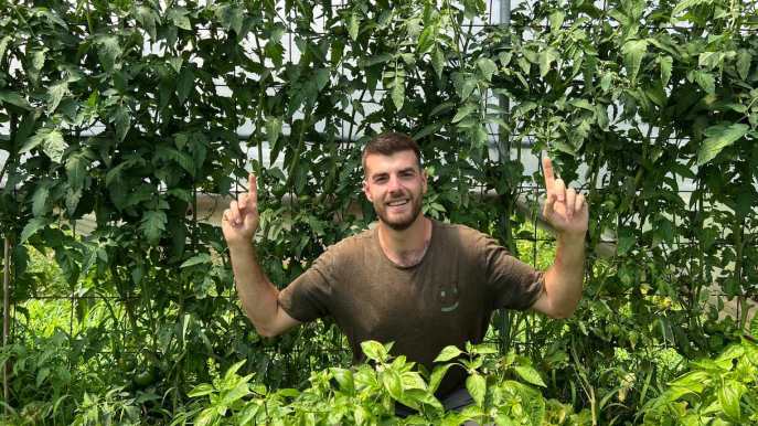 Un pomodoro sano nasce prima di tutto nel terreno, non nella scelta della varietà in busta