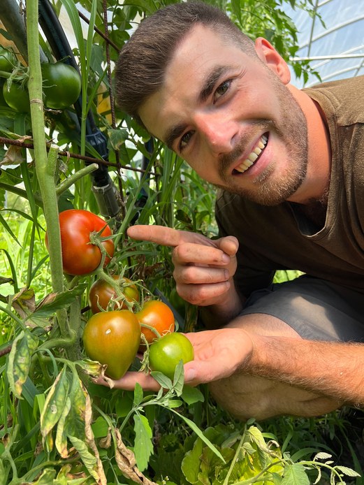 Gian Marco Mapelli indica un grappolo di pomodori con frutti a diversi stadi di maturazione su una pianta coltivata in serra