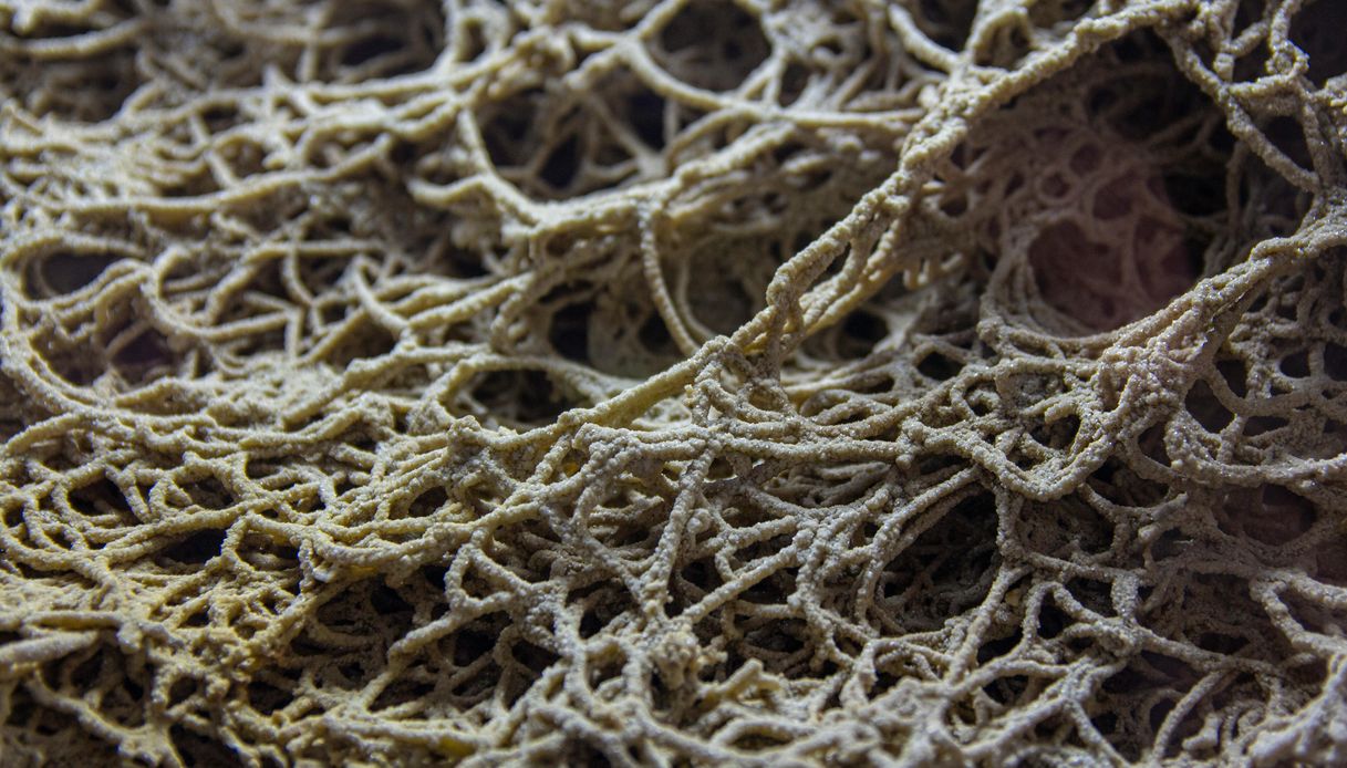 Dettaglio macro di una struttura reticolare organica, simile a una fitta rete di filamenti intrecciati