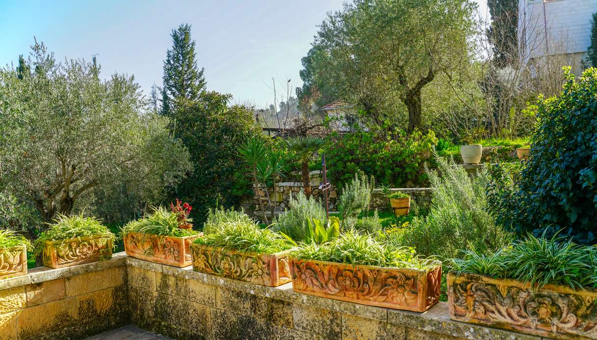 Muretto in pietra con fioriere in terracotta decorata, ulivi e cipressi sullo sfondo in un giardino mediterraneo