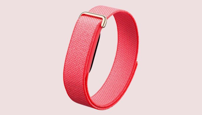 Google Fitbit Air