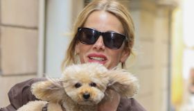Alessia Marcuzzi, il bikini pitonato è sensuale ma lei ha occhi solo per il suo cagnolino Brownie