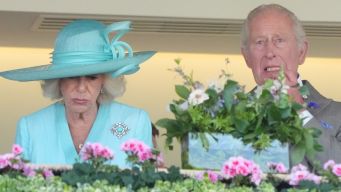 Re Carlo, le 5 cose a cui Camilla ha dovuto rinunciare dopo il matrimonio