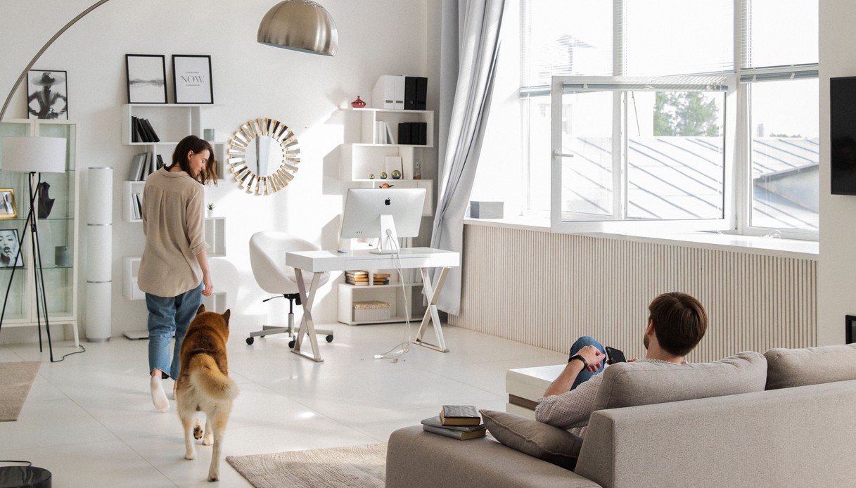 Soggiorno minimalista luminoso con pavimento continuo bianco, un cane Akita e due persone di spalle, tra divano, scrivania e libreria a giorno