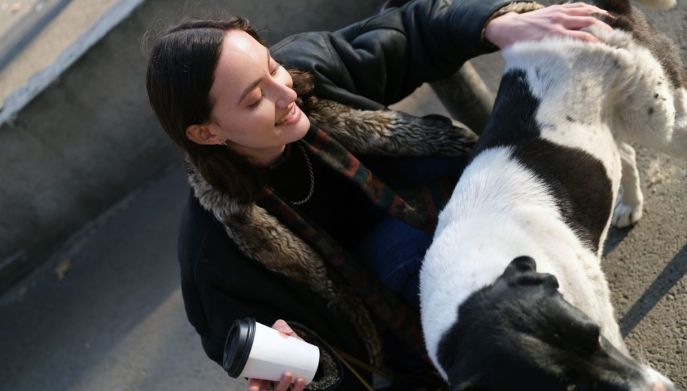 Ragazza e cane felici: come si crea il legame