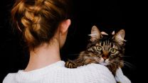 Cani e gatti ci rendono felici? Uno studio mette in discussione il “pet effect”