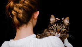 Cani e gatti ci rendono felici? Uno studio mette in discussione il “pet effect”