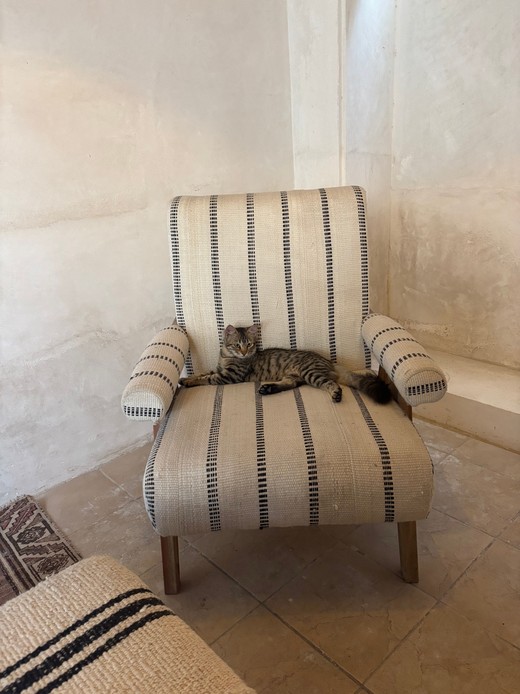 Gatto tigrato sdraiato su una poltrona rivestita in tessuto piatto a righe, con tappeto kilim e pavimento in cotto