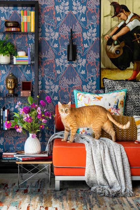 Gatto rosso in piedi su una chaise arancione davanti a una parete con carta da parati decorata e libreria