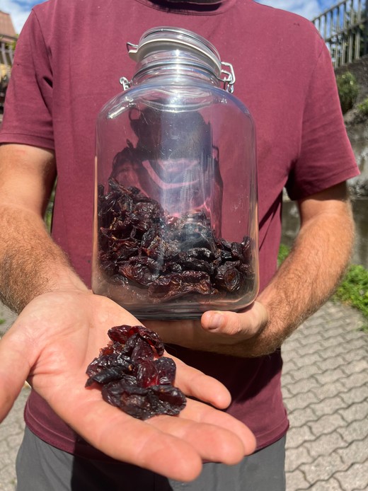 Mani che mostrano ciliegie essiccate accanto a un barattolo di vetro