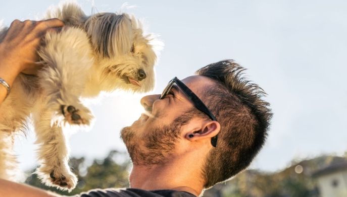 Cane e uomo: un rapporto speciale