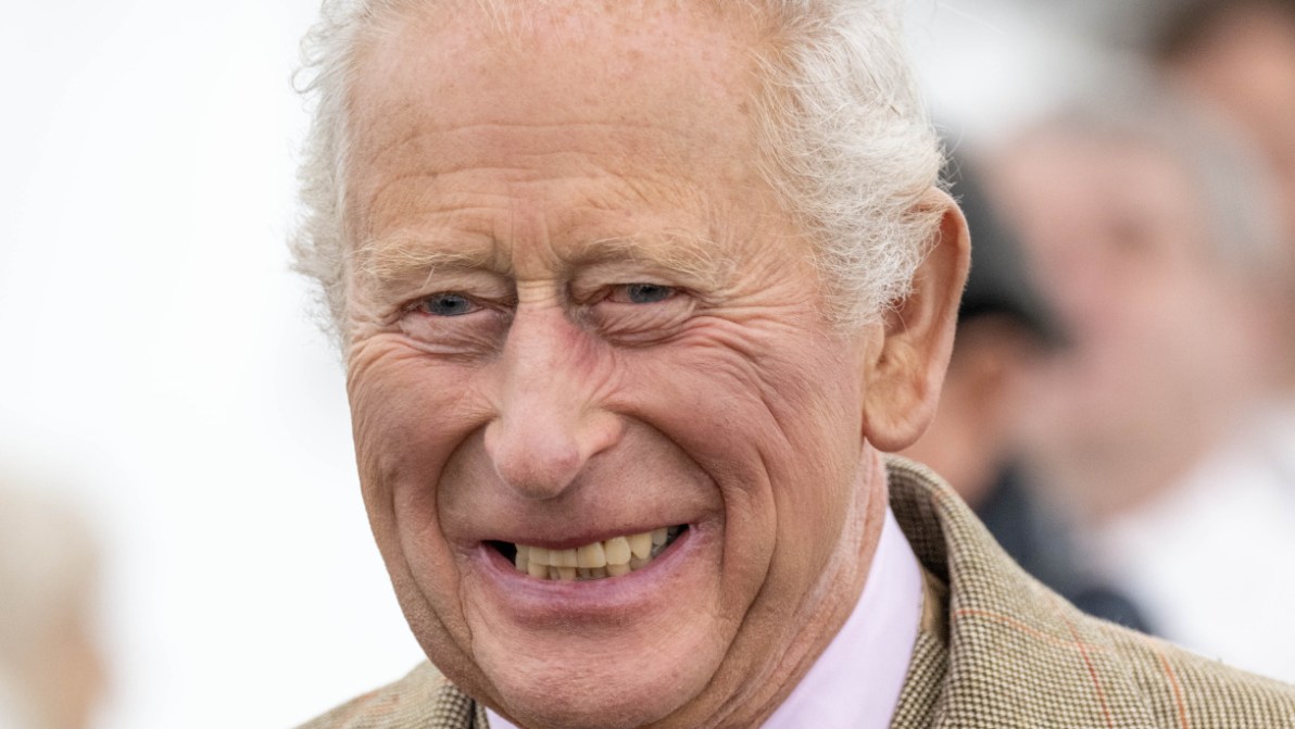Re Carlo, l’incontro con Harry non erano solo parole: ora lo rivuole davvero al suo fianco