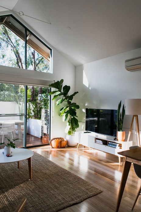 Soggiorno con Ficus Lyrata accanto al mobile TV e tappeto in juta