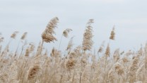 Il suono dell’acqua e la voce del vento come strumenti di design per una casa che riposa