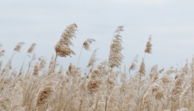Il suono dell’acqua e la voce del vento come strumenti di design per una casa che riposa