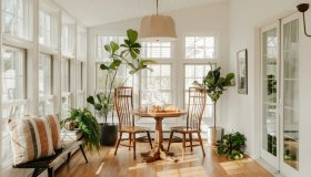 Jungle living, le piante XXL protagoniste dell’arredo