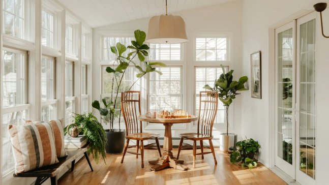 Jungle living, le piante XXL protagoniste dell’arredo