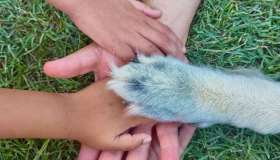 Benedetta Rossi: “Finalmente a casa”. La foto con le figlie e il cane Cloud