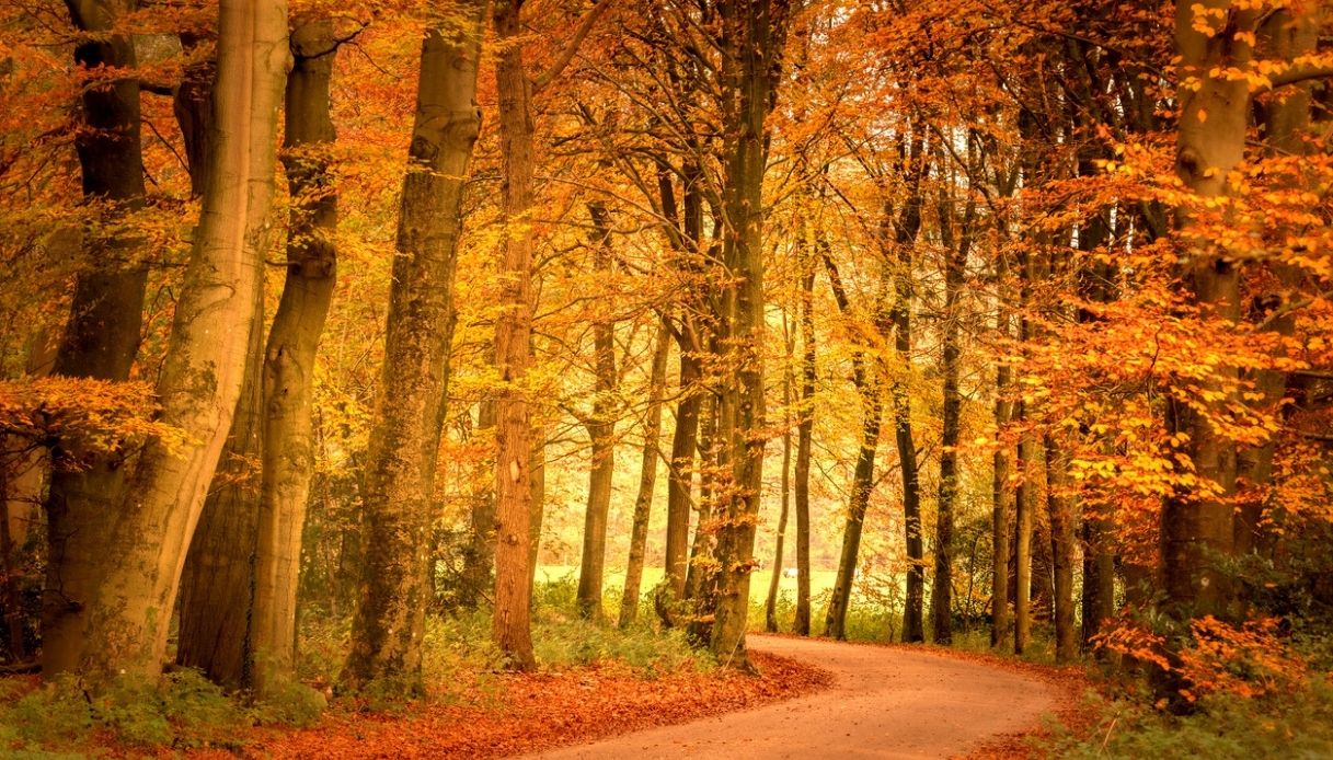 equinozio d8217autunno quando cade nel 2026 e cosa cambia in cielo da Dilei.it equinozio d8217autunno quando cade nel 2026 e cosa cambia in cielo